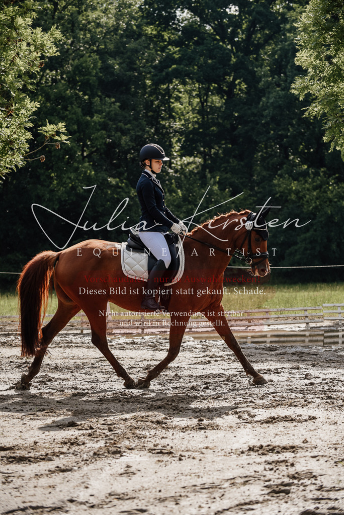 DSC_8888 | Pferde- und Turnierfotografie in Westsachsen. Pferdeportraits, Auftragszeichnungen und intuitive Kunst.