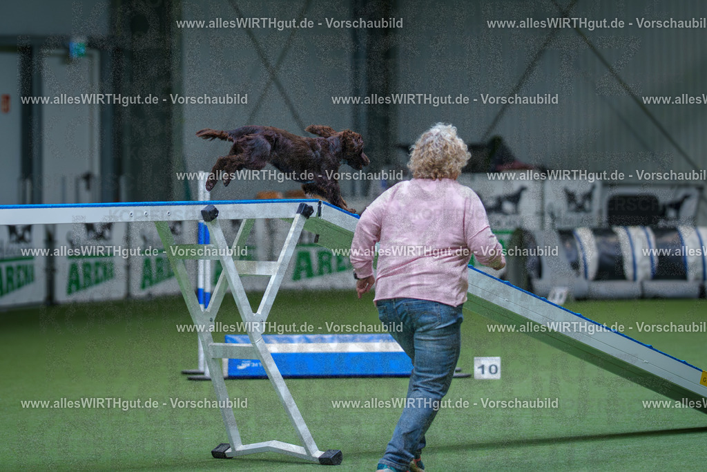 @allesWIRTHgut_Tierfotografie - www.allesWIRTHgut.de - 2604260804-7R506564 | Professionelle Tierfotografie in Mönchengladbach von Daniel Wirth (allesWIRTHgut). Liebevolle & natürliche Bilder von Hunden & Katzen für unvergessliche Erinnerungen.