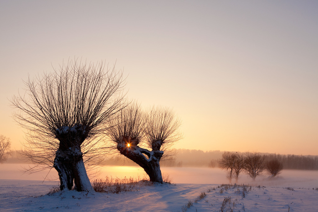 101220-141 | Europa, DEU, Deutschland, Nordrhein Westfalen, NRW, Rheinland, Niederrhein, Xanten, Naturschutzgebiet Xantener Altrhein, Bislicher Insel, Typische Kopfweiden, Winter, Schnee, Sonnenuntergang, Abendstimmung, Kategorien und Themen, Natur, Umwelt, Landschaft, Jahreszeiten, Stimmungen, Landschaftsfotografie, Landschaften, Landschaftsphoto, Landschaftsphotographie, Naturschutz, Naturschutzgebiete, Landschaftsschutz, Biotop, Biotope, Landschaftsschutzgebiete, Landschaftsschutzgebiet, Oekologie, Oekologisch, Typisch, Landschaftstypisch, Landschaftspflege....[Fuer die Nutzung gelten die jeweils gueltigen Allgemeinen Liefer-und Geschaeftsbedingungen. Nutzung nur gegen Verwendungsmeldung und Nachweis. Download der AGB unter http://www.image-box.com oder werden auf Anfrage zugesendet. Freigabe ist vorher erforderlich. Jede Nutzung des Fotos ist honorarpflichtig gemaess derzeit gueltiger MFM Liste - Kontakt, Uwe Schmid-Fotografie, Duisburg, Tel. (+49).2065.677997, ..archiv@image-box.com, www.image-box.com] - Realisiert mit Pictrs.com