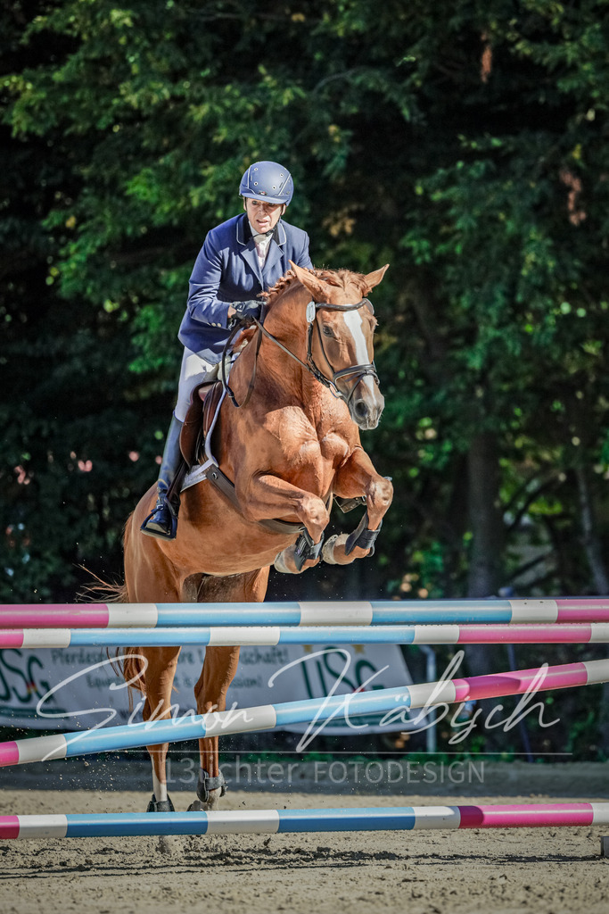 20250906-_3LI3427 | Tierfotografie Pferde, Hunde, Katzen, Haustiere.
Turnierfotografie Reitturniere, Reiten, Springreiten, Dressur in Hanau, dem Main-Kinzig-Kreis und dem Rhein-Main- Gebiet um Frankfurt