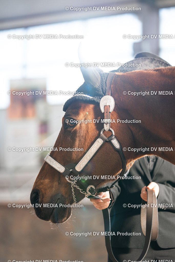 Heiligenwald Tag 2-14 | dv-media-shop - Realisiert mit Pictrs.com