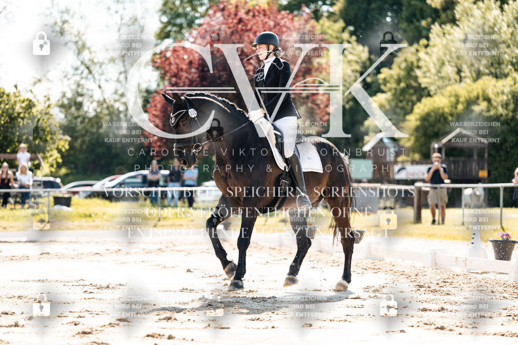CK909290 | Turnierfotografie Pferdefotografie Trier Rheinland-Pfalz Pferdesport Reitsport Tierfotografie Sportfotografie Pferdevideo Pferdevideografie Equestrianvideography equestrianphotography  - Realisiert mit Pictrs.com