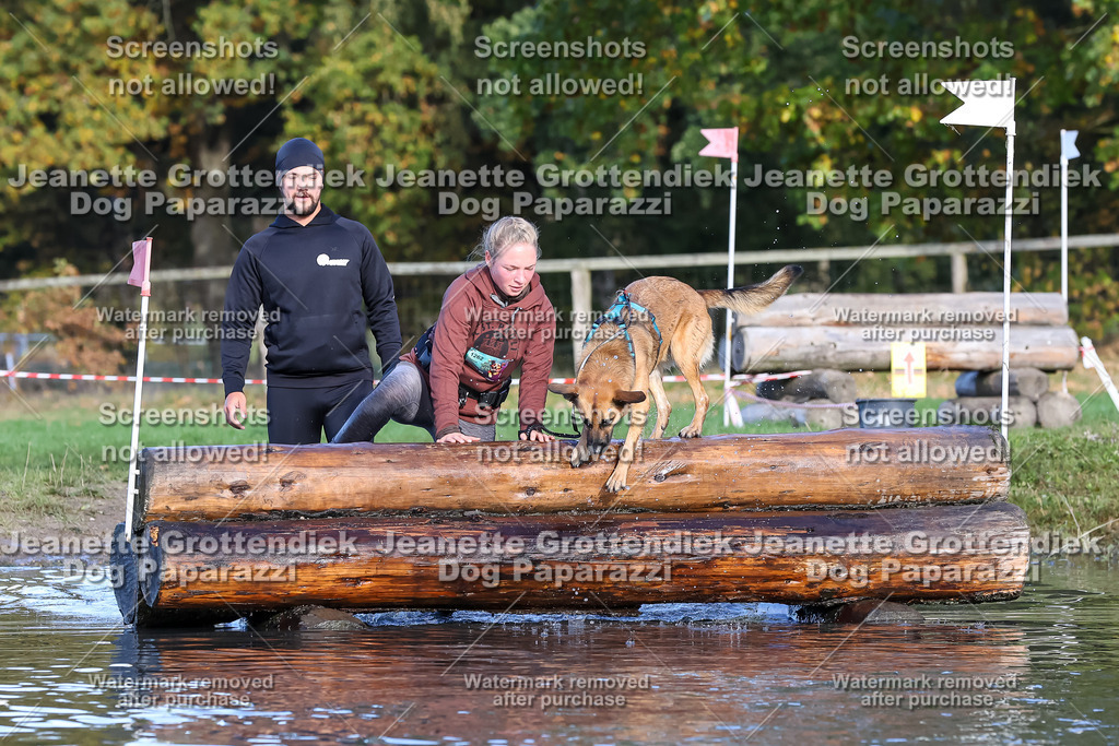 Dog Paparazzi - Strongdog 10-25-8554 | Dog Paparazzi Jeanette Grottendiek Fotografie & Videografie - Realisiert mit Pictrs.com