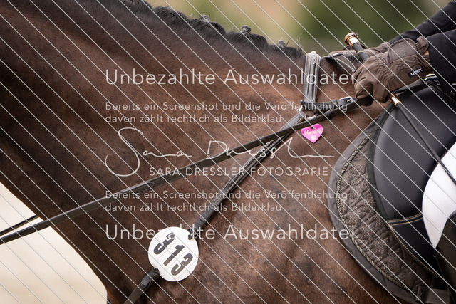 SD_OES26_08829 | saradresslerfotografie - Realisiert mit Pictrs.com