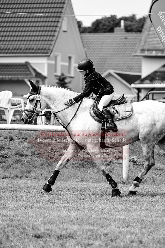 DSC_9833 | Pferde- und Turnierfotografie in Westsachsen. Pferdeportraits, Auftragszeichnungen und intuitive Kunst.