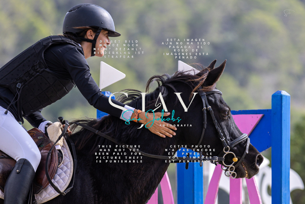 IMG_2538 | s-jay-photography - Realisiert mit Pictrs.com