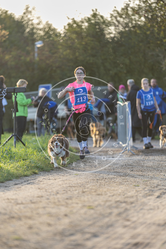 Pfotenfotografie.de_DV3A2477 | Hundefotografie, Tierfotograf, Pfotenfotografie, Fotoshooting Hund, Hunde Portrait, Hundesport, Hundeportraits, Heideshooting, Hunde, Sportfotograf, Hundefotograf, Turnierhundsport, THS, canicross - Realisiert mit Pictrs.com