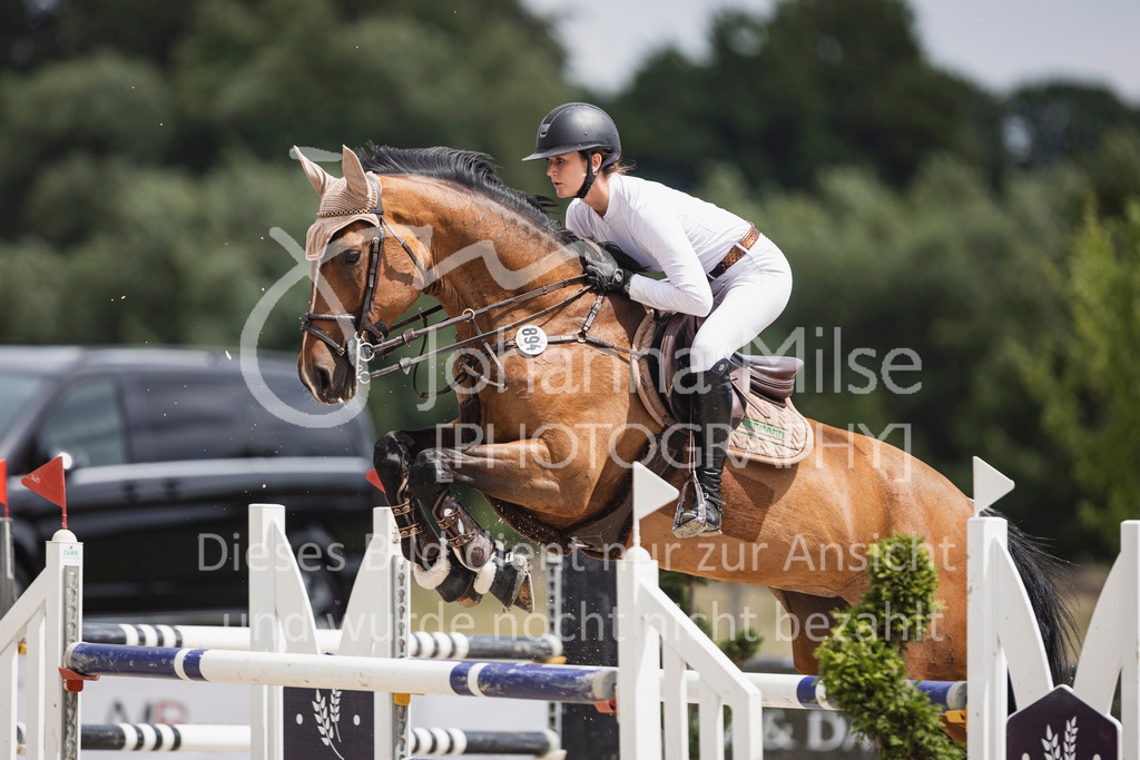 250628_PfSpTa_Youngster-S-422 | Deine schönsten Turniermomente als professionelle Fotos! Entdecke hochwertige Pferdesport-Fotografie im Online-Shop. Jetzt Fotos finden & bestellen!