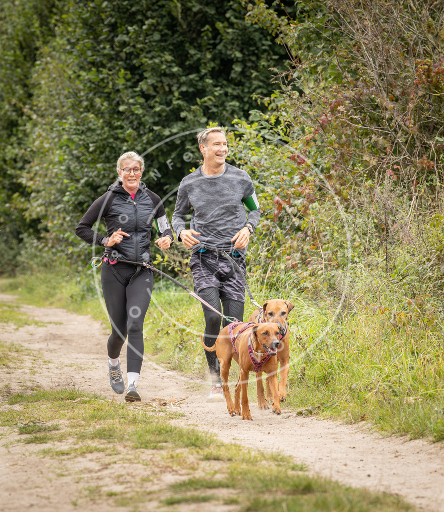 Pfotenfotografie_DV3A7580 | Hundefotografie, Tierfotograf, Pfotenfotografie, Fotoshooting Hund, Hunde Portrait, Hundesport, Hundeportraits, Heideshooting, Hunde, Sportfotograf, Hundefotograf, Turnierhundsport, THS,  - Realisiert mit Pictrs.com