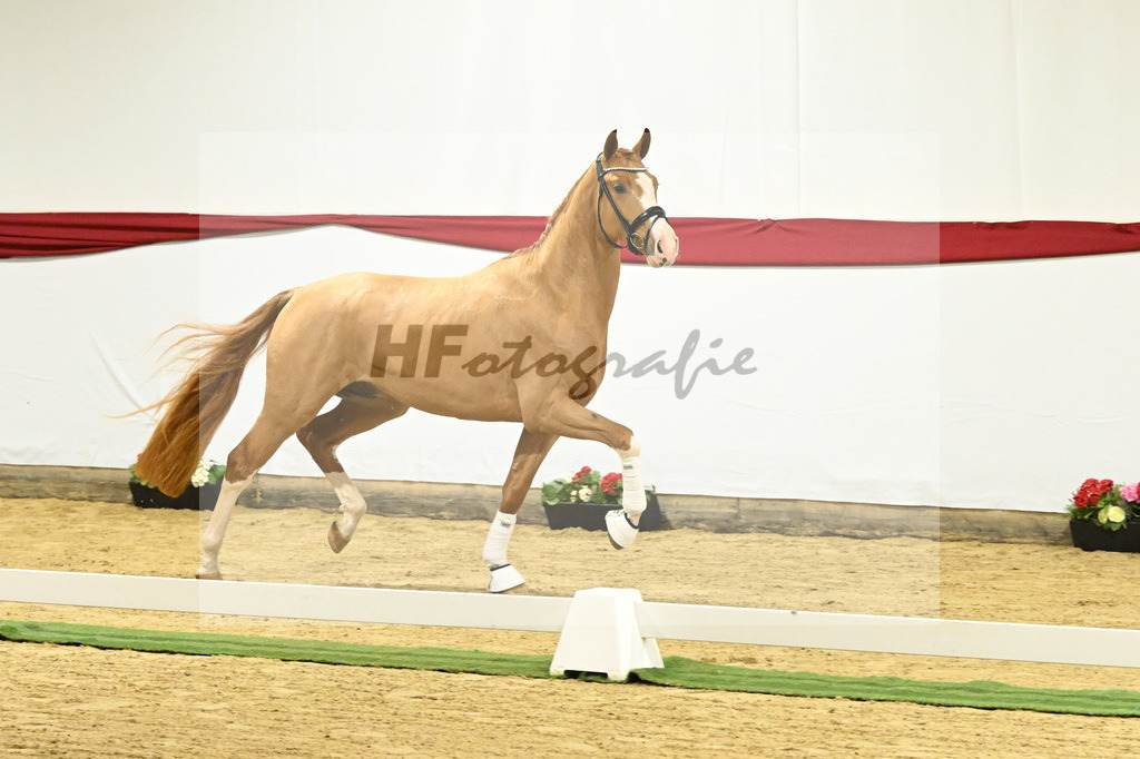 Kat-Nr. 10 v. Fuerst Samarant_Beckmann_63220033 | hf-fotografie - Realizzato con Pictrs.com