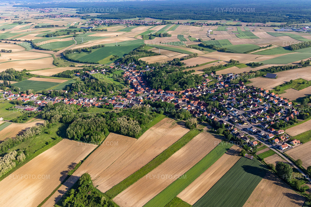 Aerial view: View of the town in Neewiller-près-Lauterbourg in the state Bas-Rhin, France.Photo: IMG_115037.jpg taken on 06/01/2019 by Werner Riehm/FLY-FOTO.comResolution of the original: 5228 x 3485 px