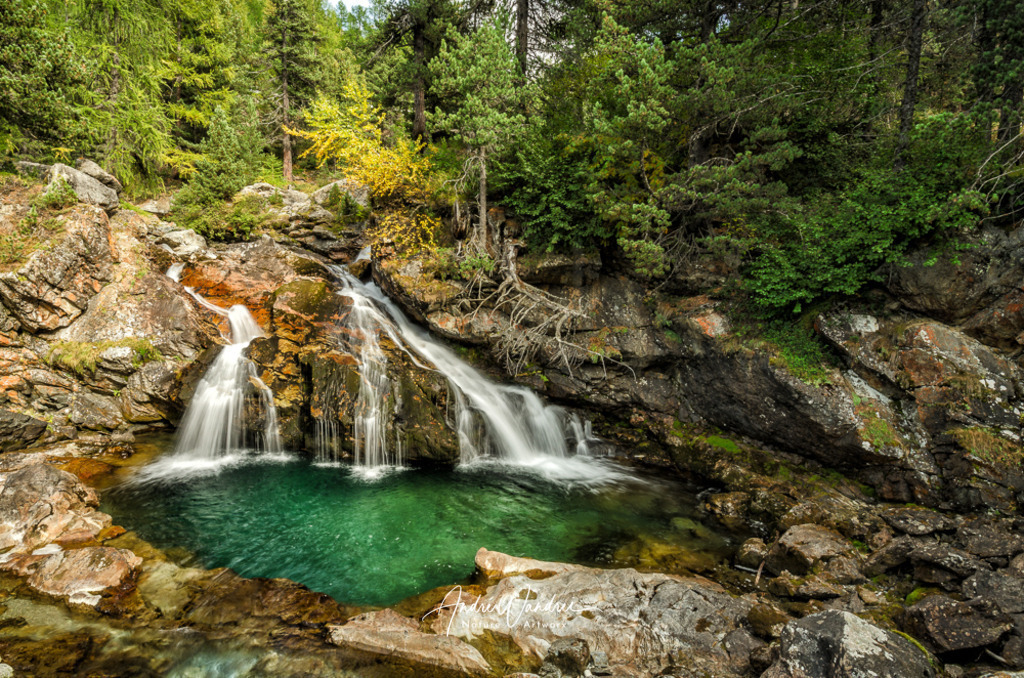 Herz des Waldes | Andre Wandrei - Nature Artworx - Realisiert mit Pictrs.com