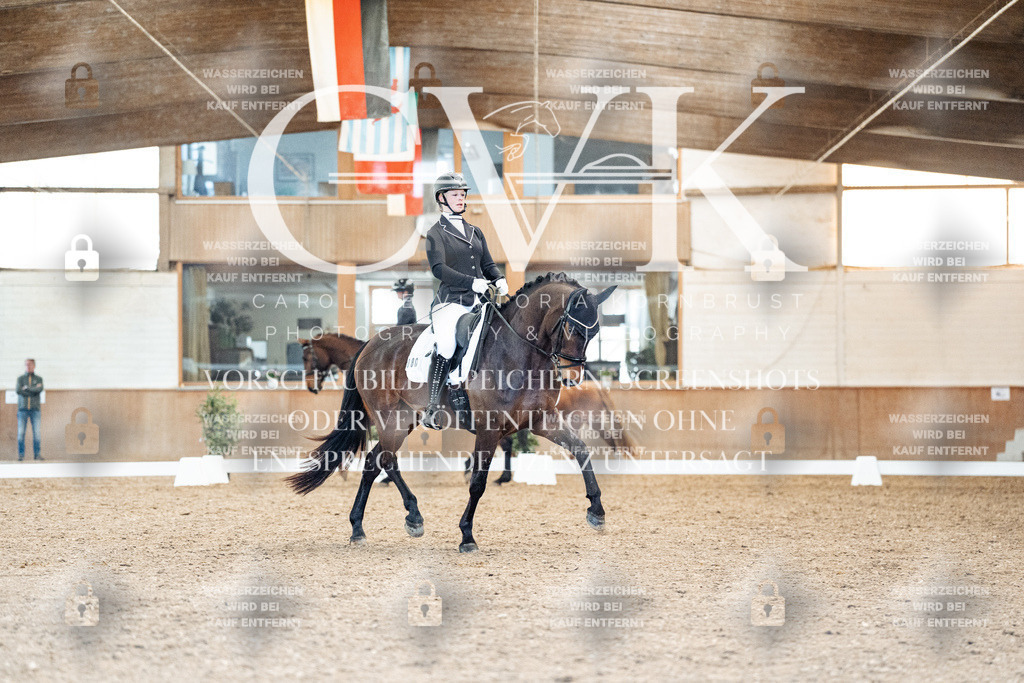 CK908821 | Turnierfotografie Pferdefotografie Trier Rheinland-Pfalz Pferdesport Reitsport Tierfotografie Sportfotografie Pferdevideo Pferdevideografie Equestrianvideography equestrianphotography  - Realized with Pictrs.com