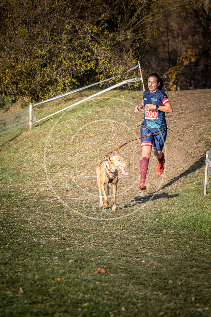 CaniXpix_0L8A9434 | Hundefotografie, Tierfotograf, Pfotenfotografie, Fotoshooting Hund, Hunde Portrait, Hundesport, Hundeportraits, Heideshooting, Hunde, Sportfotograf, Hundefotograf, Turnierhundsport, THS,  - Realisiert mit Pictrs.com