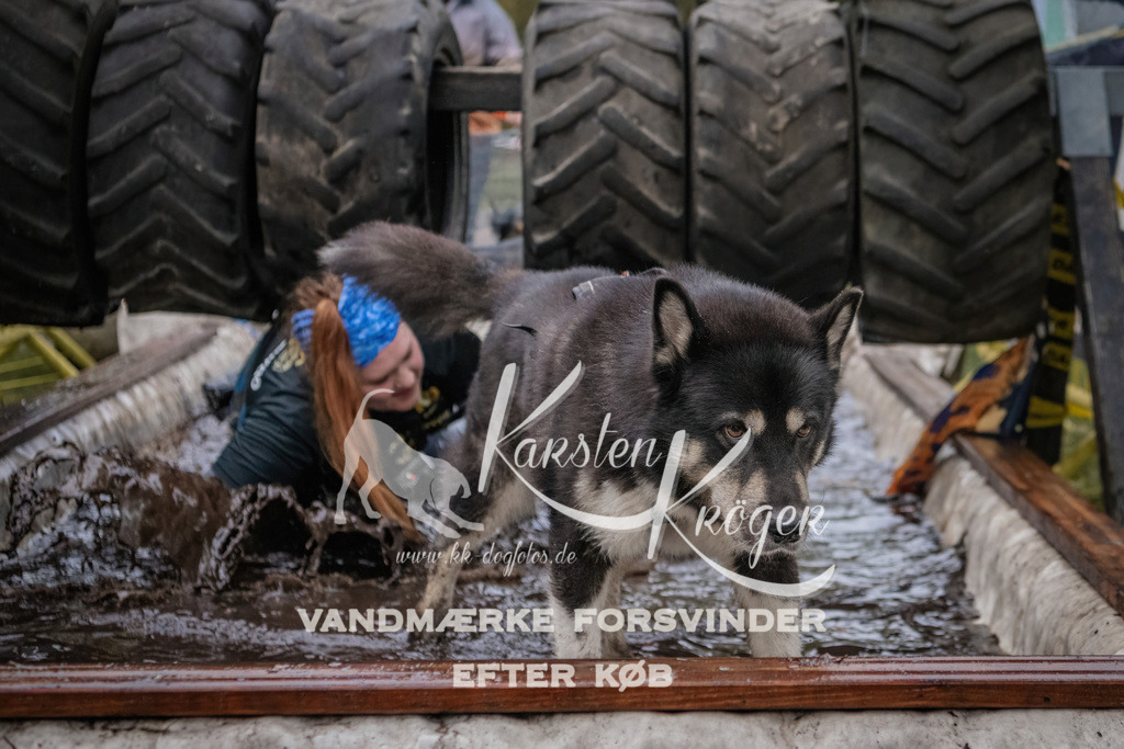 1706_ZZ94960 | kk-dogfotos