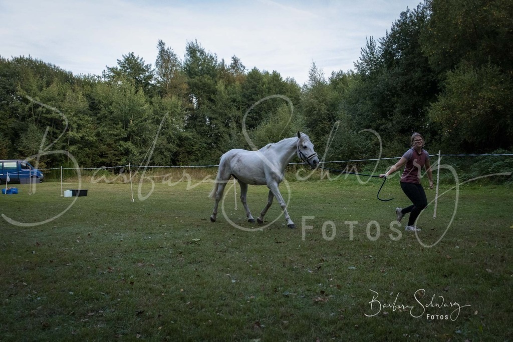 DdLH-NU_2025-09-20_66 | Fotografie, Veranstaltungs-Fotografie, Pferde-Fotografie, Landschafts-Fotografie, Reise-Fotografie - Realisiert mit Pictrs.com
