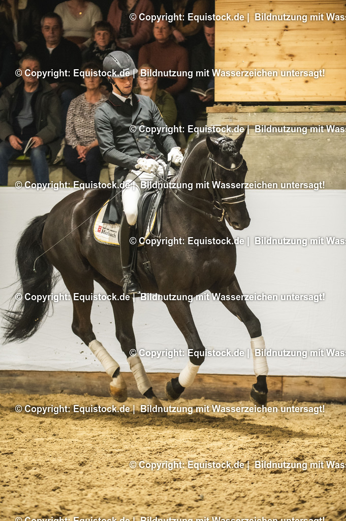 20240302_Hengstvorstellung_Marbach_TOMsPiC_1540 | equistock