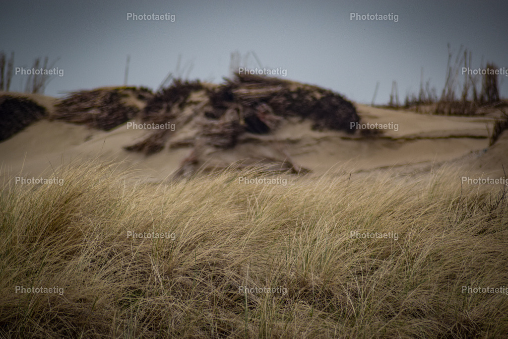 IMG_8788 | phototaetig