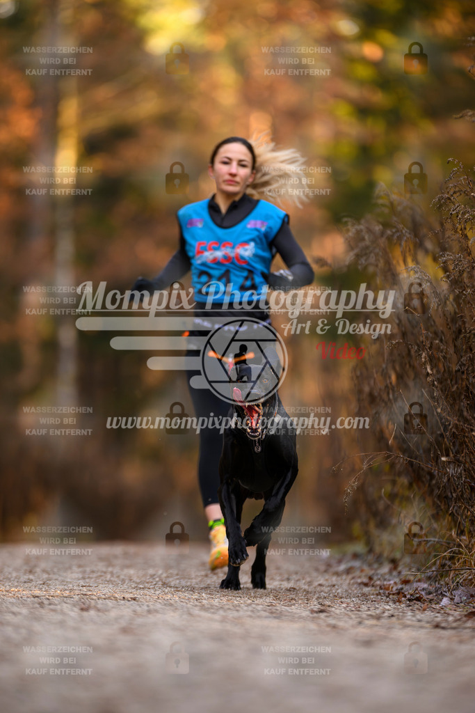 MompixPhotography_DM_AKDM_SO_2025_-26 | PayLife
