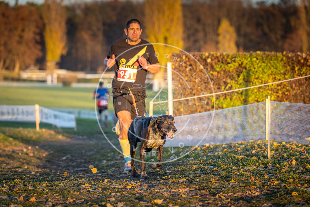 CaniXpix_DV3A5644 | Hundefotografie, Tierfotograf, Pfotenfotografie, Fotoshooting Hund, Hunde Portrait, Hundesport, Hundeportraits, Heideshooting, Hunde, Sportfotograf, Hundefotograf, Turnierhundsport, THS,  - Realisiert mit Pictrs.com