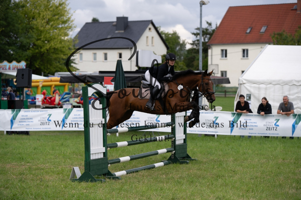 A7V03966 | Pferdefotograf