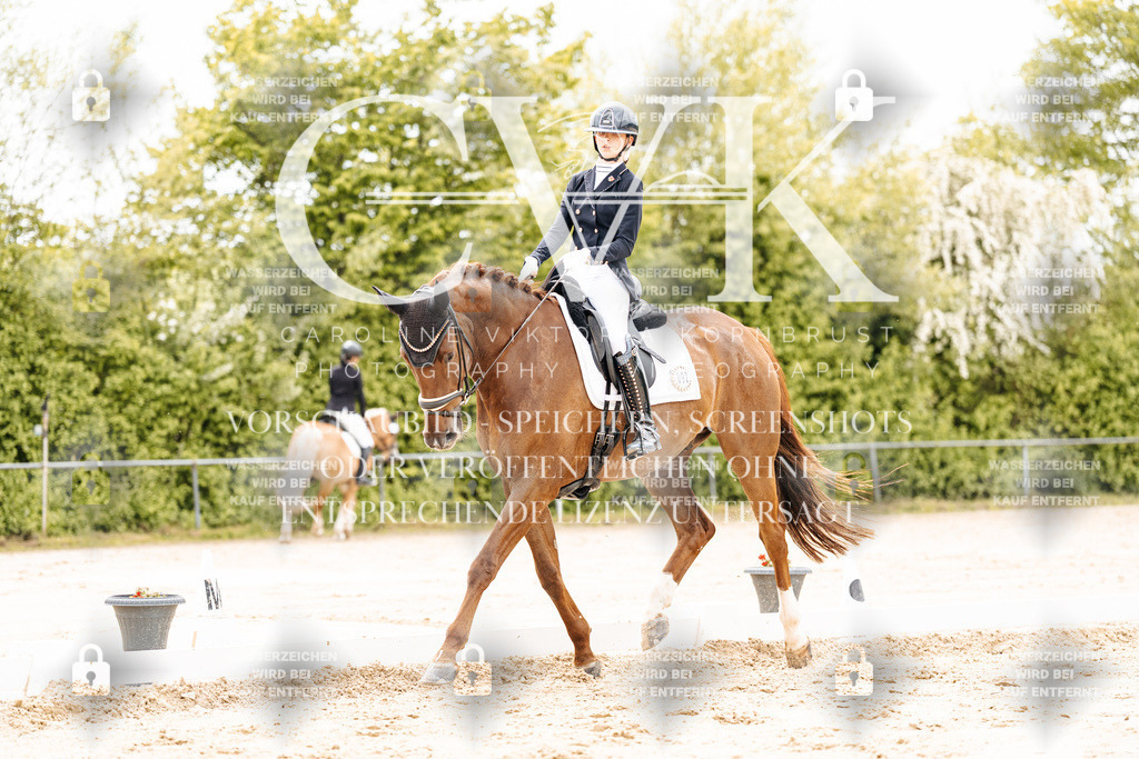 CK902858 | Turnierfotografie Pferdefotografie Trier Rheinland-Pfalz Pferdesport Reitsport Tierfotografie Sportfotografie Pferdevideo Pferdevideografie Equestrianvideography equestrianphotography  - Realisiert mit Pictrs.com