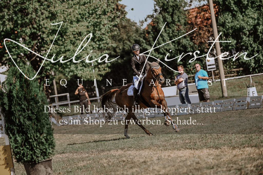 DSC_9353 | Pferde- und Turnierfotografie in Westsachsen. Pferdeportraits, Auftragszeichnungen und intuitive Kunst.