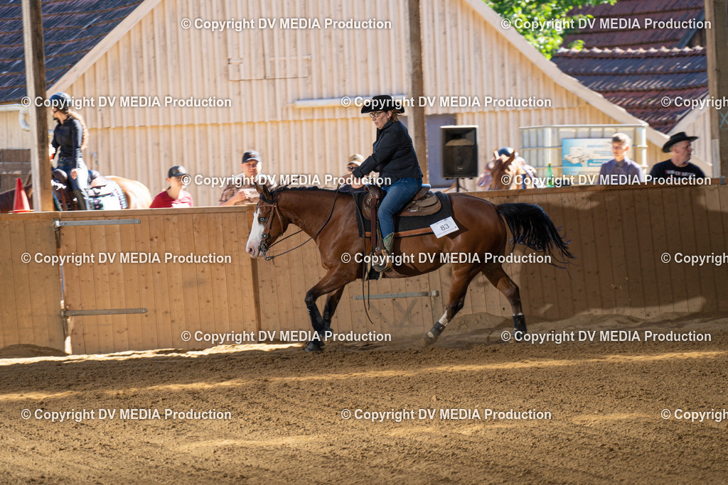 DSC00009 | dv-media-shop - Realisiert mit Pictrs.com