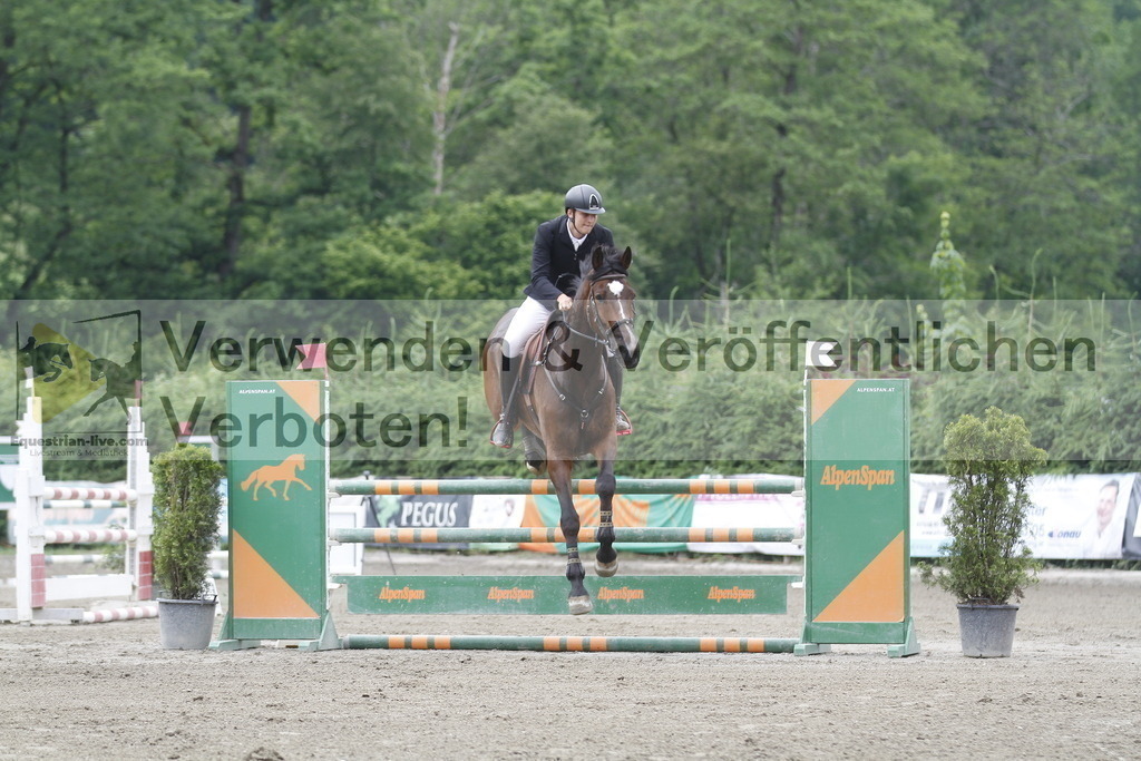 _MG_9137 | equestrian-live-com