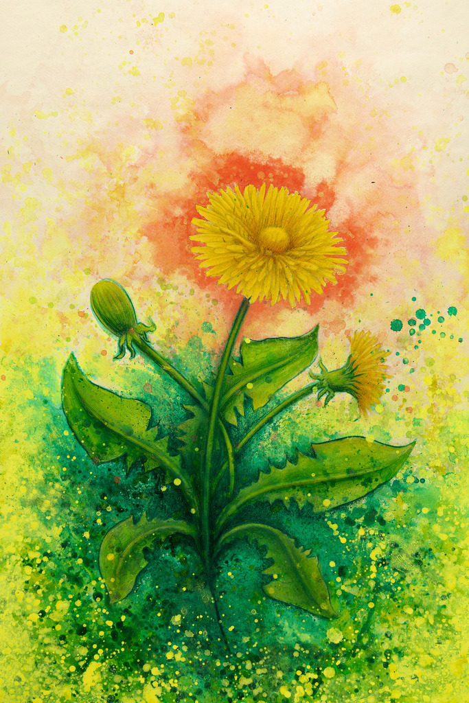 Summer feeling Löwenzahn Kunstdruck | Spritziges und kraftvolles Löwenzahn Gemälde. - Realisiert mit Pictrs.com