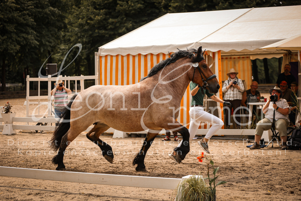 4.Sa00043 | Leoni Ertmer Photography - Realisiert mit Pictrs.com