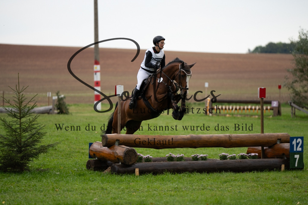 A7V02919 | Turnier/Reitfotograf