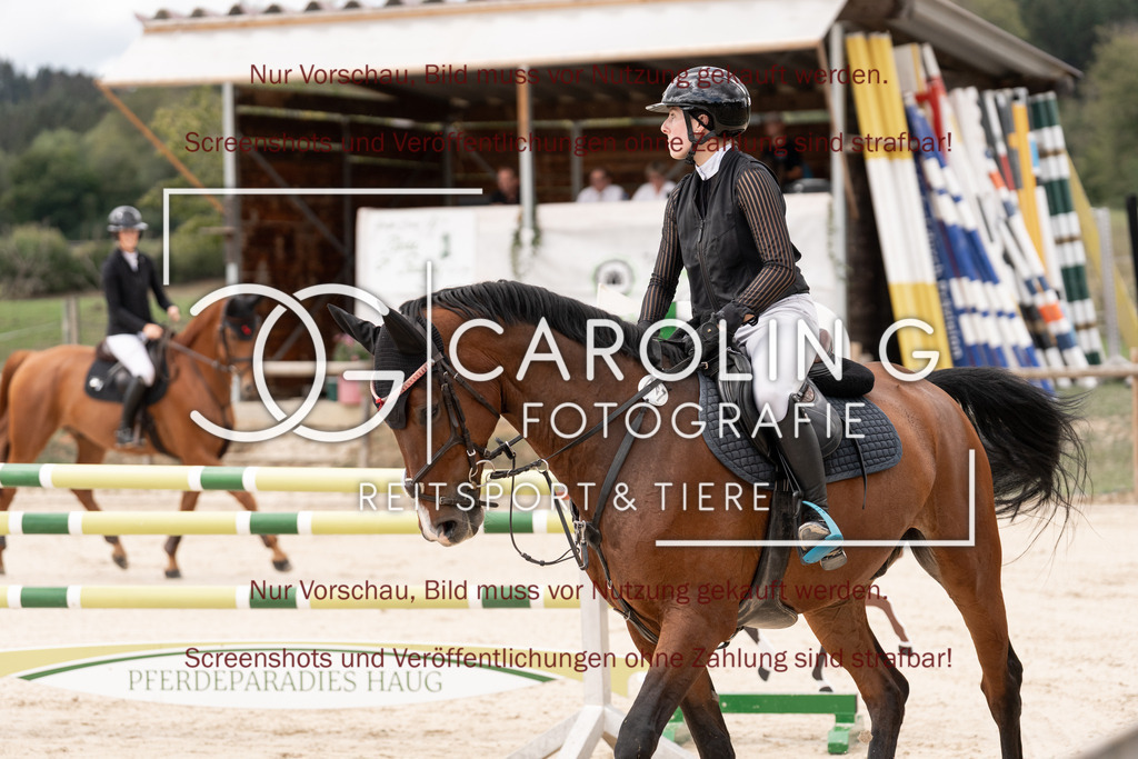 DSC06425 | Springturnier_Teamchallege_Talheim_2026, Lara-Sophie_Strohm, Champ_Charming