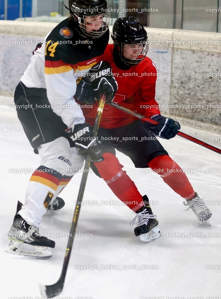 MOWE2200 | hockey sports photos, Pressefotos, Sportfotos, hockey247, win 2day icehockeyleague, Handball Austria, Floorball Austria, ÖVV, Kärntner Eishockeyverband, KEHV, KFV, Kärntner Fussballverband, Österreichischer Volleyballverband, Alps Hockey League, ÖFB, 