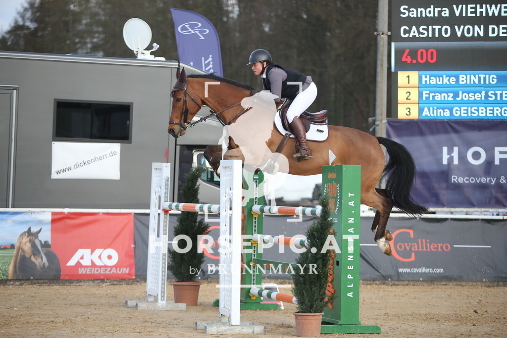 AS8V8819 | Willkommen bei Brunnmayr - Design & Fotografie – Ihrem Spezialisten für Reitturniere und Pferdeveranstaltungen in Oberösterreich, Salzburg und Bayern! Seit über 17 Jahren sind wir leidenschaftlich dabei.