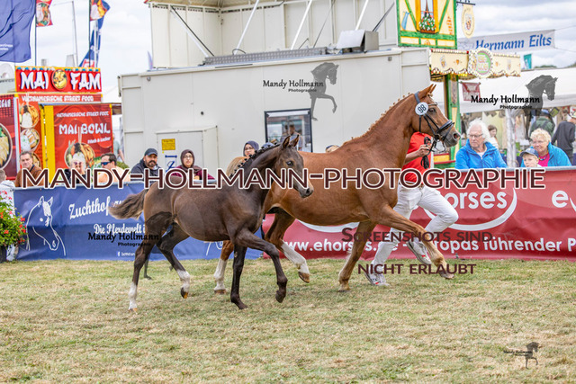 LTN 2 (1831 von 1981) | mandyhollmannphotographie