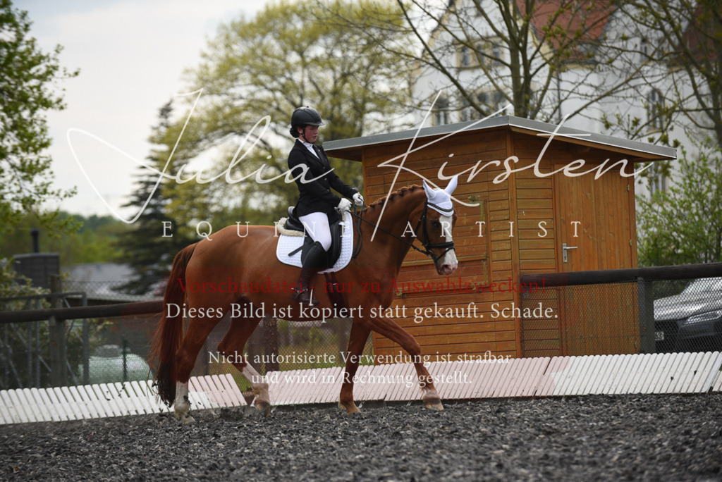 20230513_JK-Röhrsdorf-16-135 | Pferde- und Turnierfotografie in Westsachsen. Pferdeportraits, Auftragszeichnungen und intuitive Kunst.
