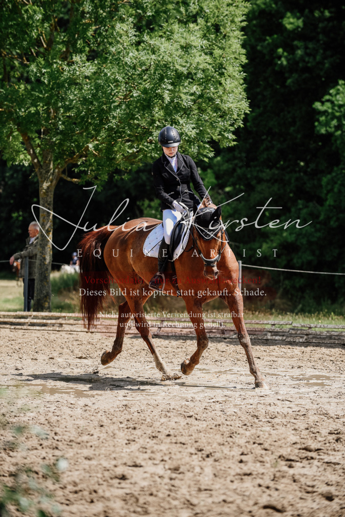 DSC_1361 | Pferde- und Turnierfotografie in Westsachsen. Pferdeportraits, Auftragszeichnungen und intuitive Kunst.