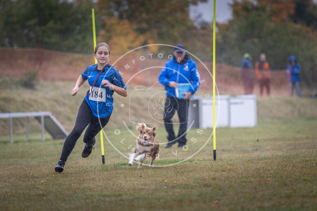 Pfotenfotografie_DV3A0047 | Hundefotografie, Tierfotograf, Pfotenfotografie, Fotoshooting Hund, Hunde Portrait, Hundesport, Hundeportraits, Heideshooting, Hunde, Sportfotograf, Hundefotograf, Turnierhundsport, THS,  - Realisiert mit Pictrs.com