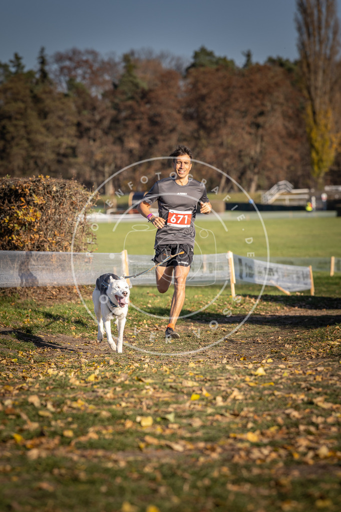 CaniXpix_DV3A0844 | Hundefotografie, Tierfotograf, Pfotenfotografie, Fotoshooting Hund, Hunde Portrait, Hundesport, Hundeportraits, Heideshooting, Hunde, Sportfotograf, Hundefotograf, Turnierhundsport, THS,  - Realisiert mit Pictrs.com