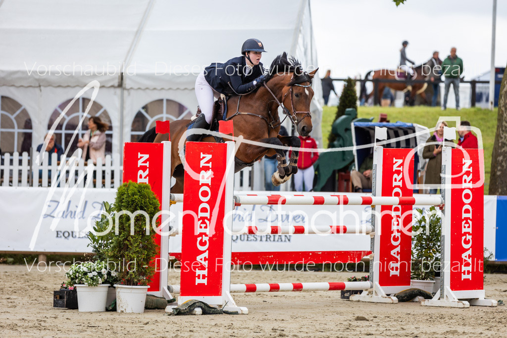 BHO-2PhSpr-M-5-2110 | MomenTaufnahmen Pferdesportfotos