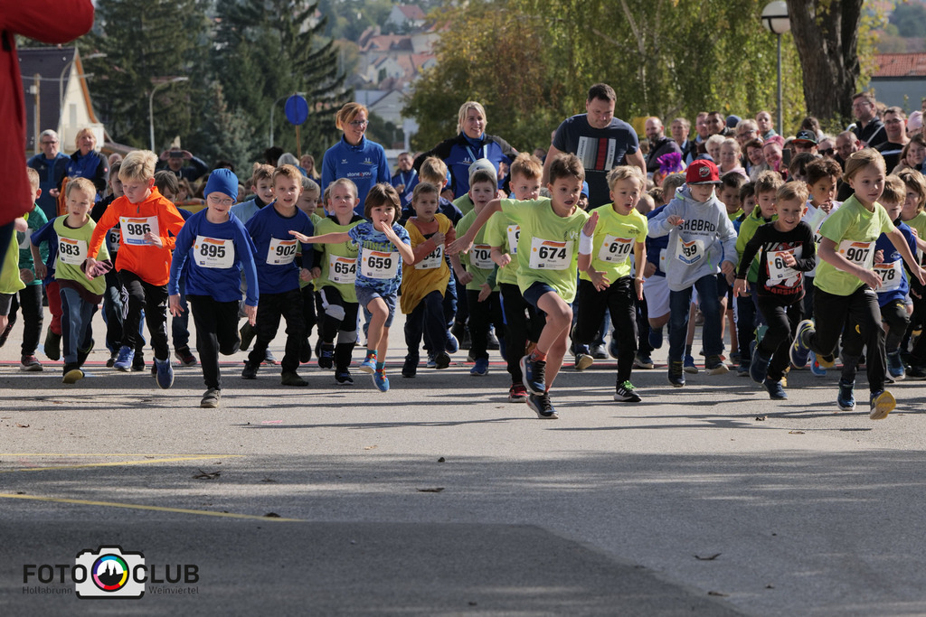 P1039114 | Foto Buchgraber