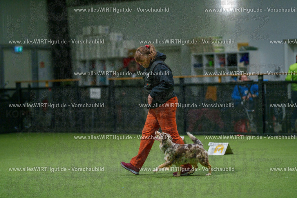 7R504637 | Professionelle Tierfotografie in Mönchengladbach von Daniel Wirth (allesWIRTHgut). Liebevolle & natürliche Bilder von Hunden & Katzen für unvergessliche Erinnerungen.