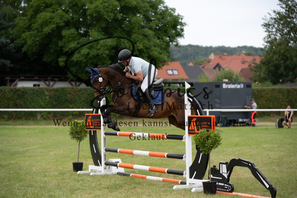 A7V01319 | Pferdefotograf