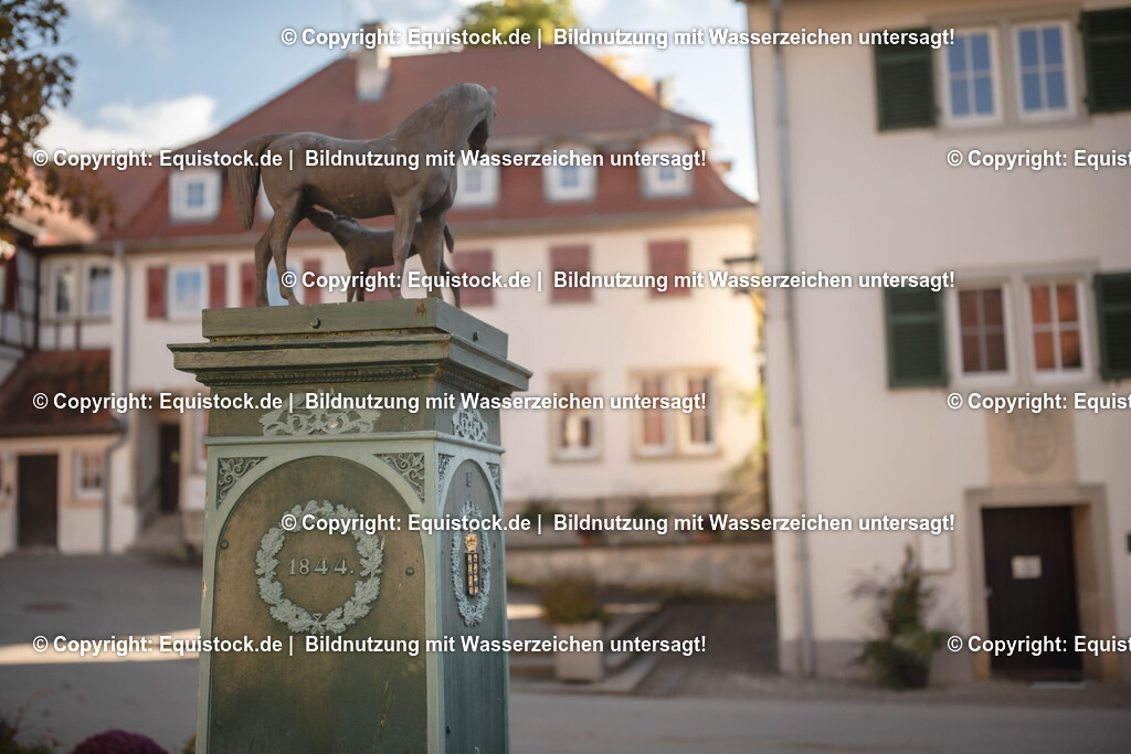 20251011_Jagd-Marbach_0004 | Foto: Thomas Hartig