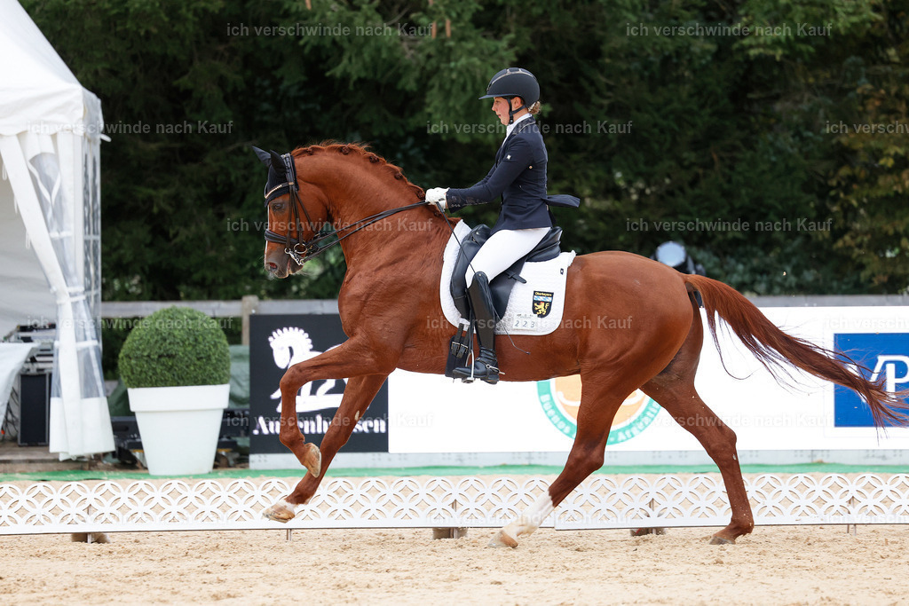 04_2-223-Dressur M__ -StoibPH-2961 | working equitationturnier fotograf videograf stoibphotography marixx film working equitation deutschland reitsport turnierfotografie eventfotografie equestrian events