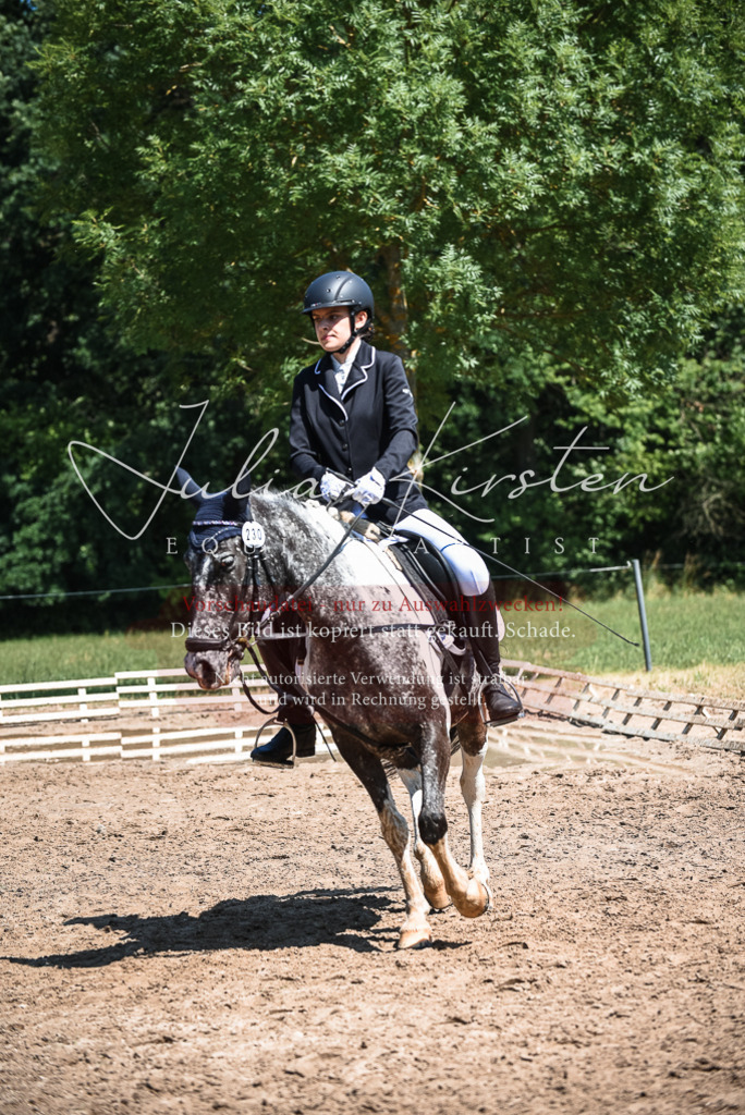 DSC_3224 | Pferde- und Turnierfotografie in Westsachsen. Pferdeportraits, Auftragszeichnungen und intuitive Kunst.