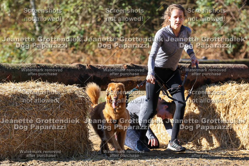 Dog Paparazzi - Strongdog 10-25-2394 | Dog Paparazzi Jeanette Grottendiek Fotografie & Videografie - Realisiert mit Pictrs.com