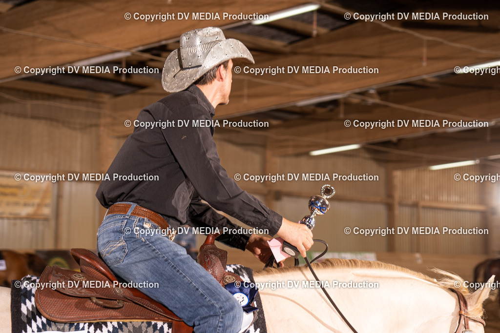 NID01127 | dv-media-shop - Realisiert mit Pictrs.com