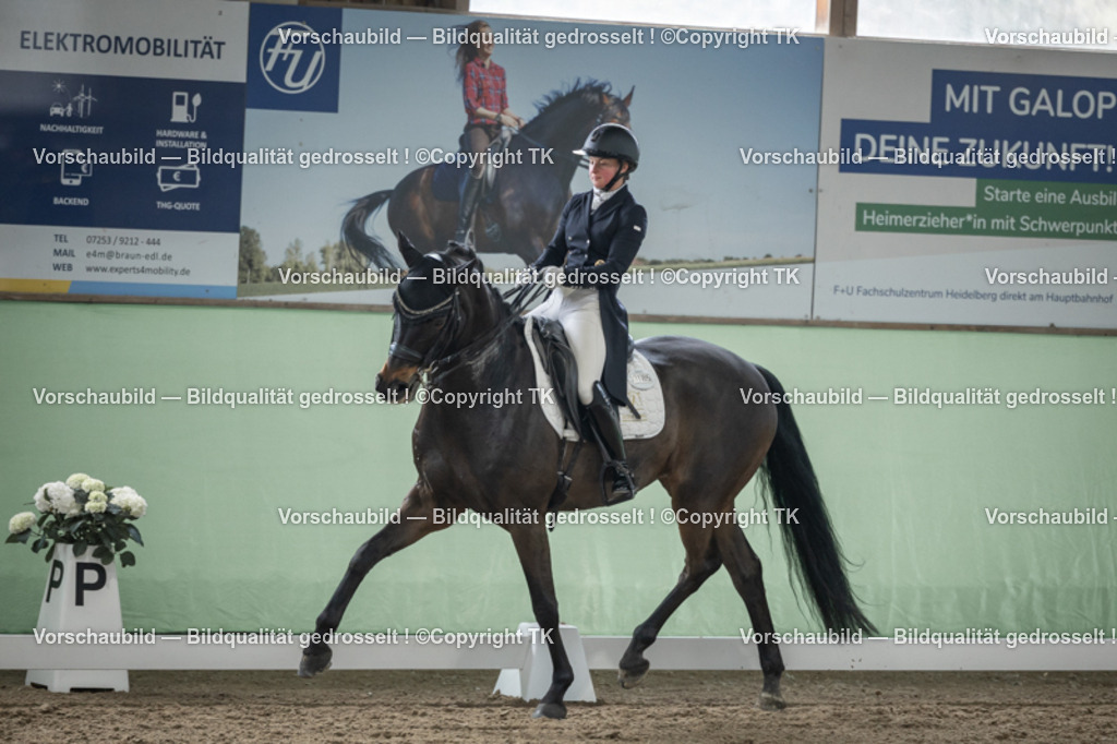 _D5A5222 | Emotionale Pferde- & People-Fotografie rund um Heidelberg, Leimen & Umgebung. Natürliche Fotos von Pferd, Mensch & Familie. Jetzt Termin sichern!